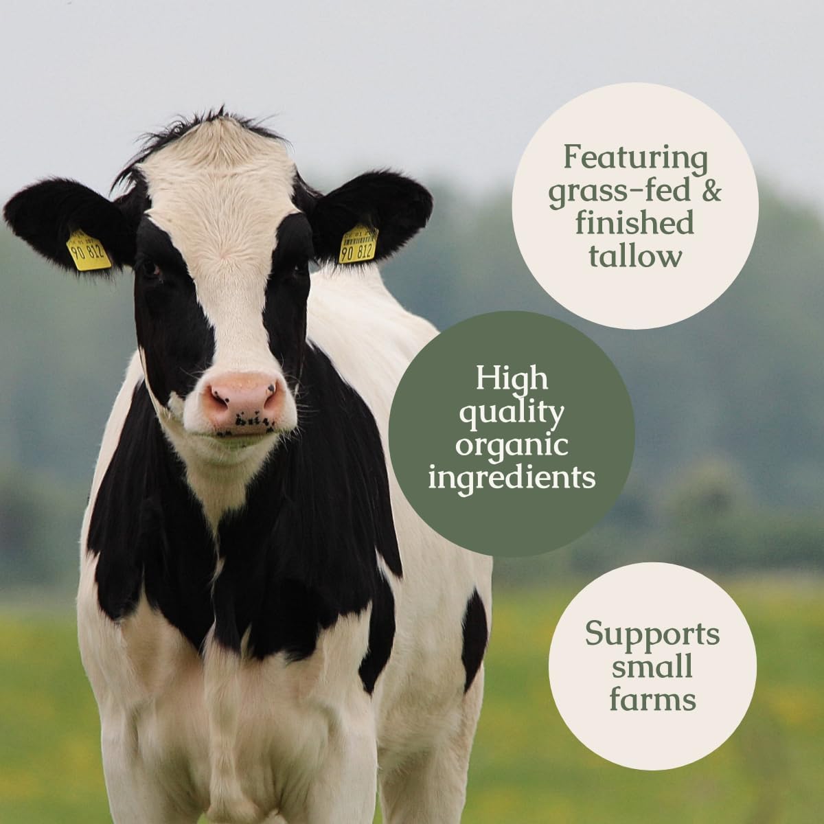 Uso diario de Nectar Serum en la rutina de mañana o noche
