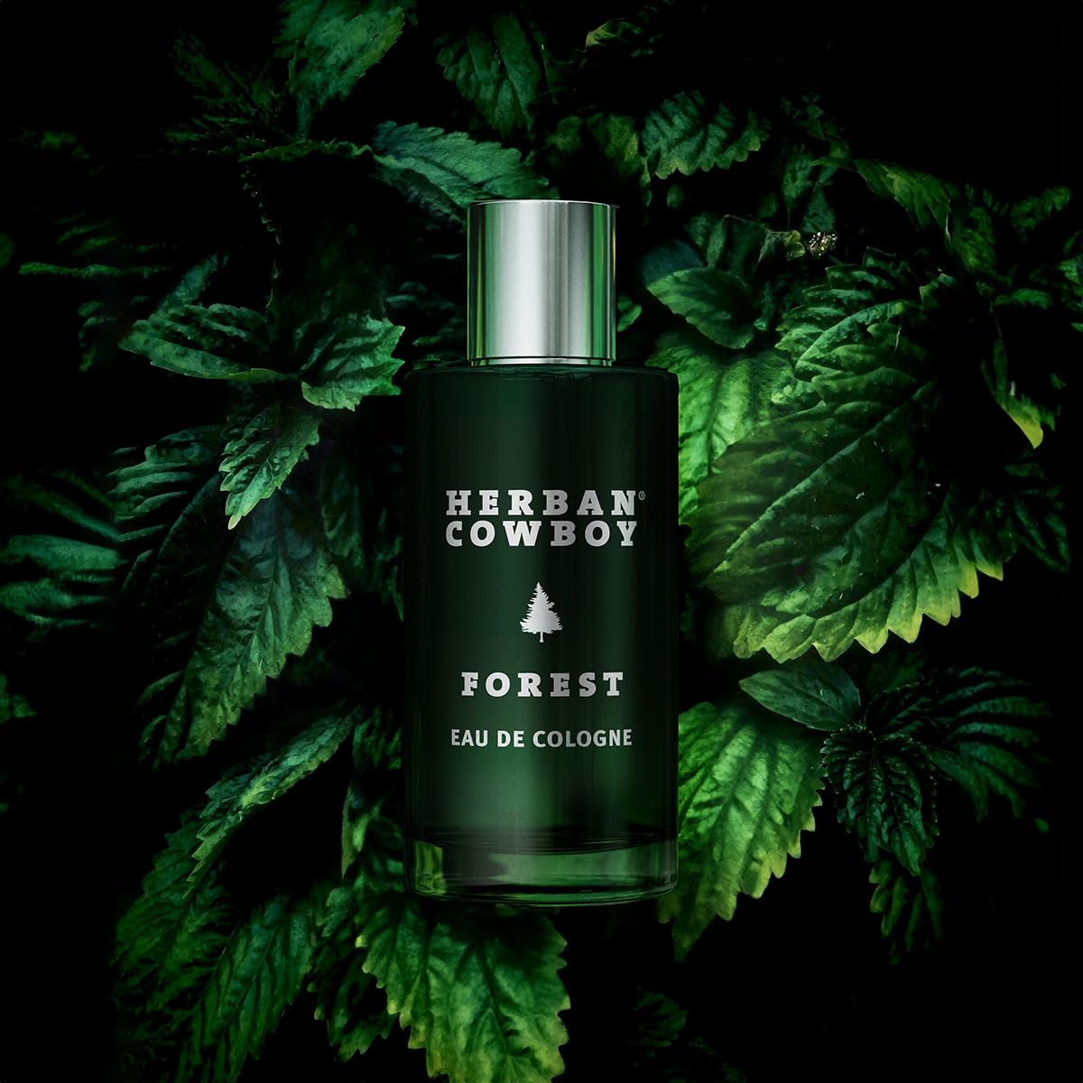 Herban Cowboy Forest: botella clara con énfasis en el cedro.