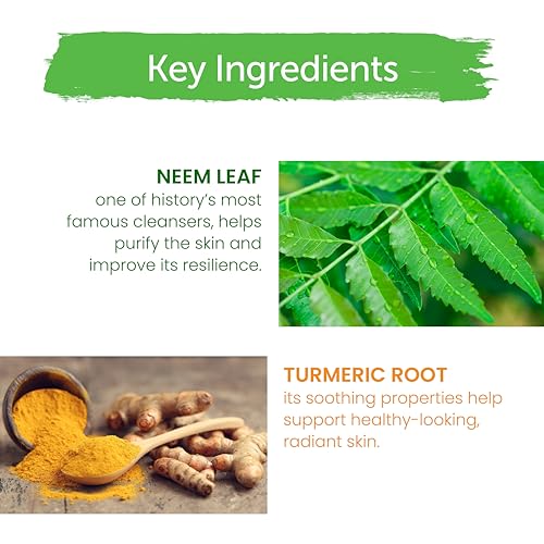 Himalaya Purifying Neem textura de espuma facial suave y ligera.