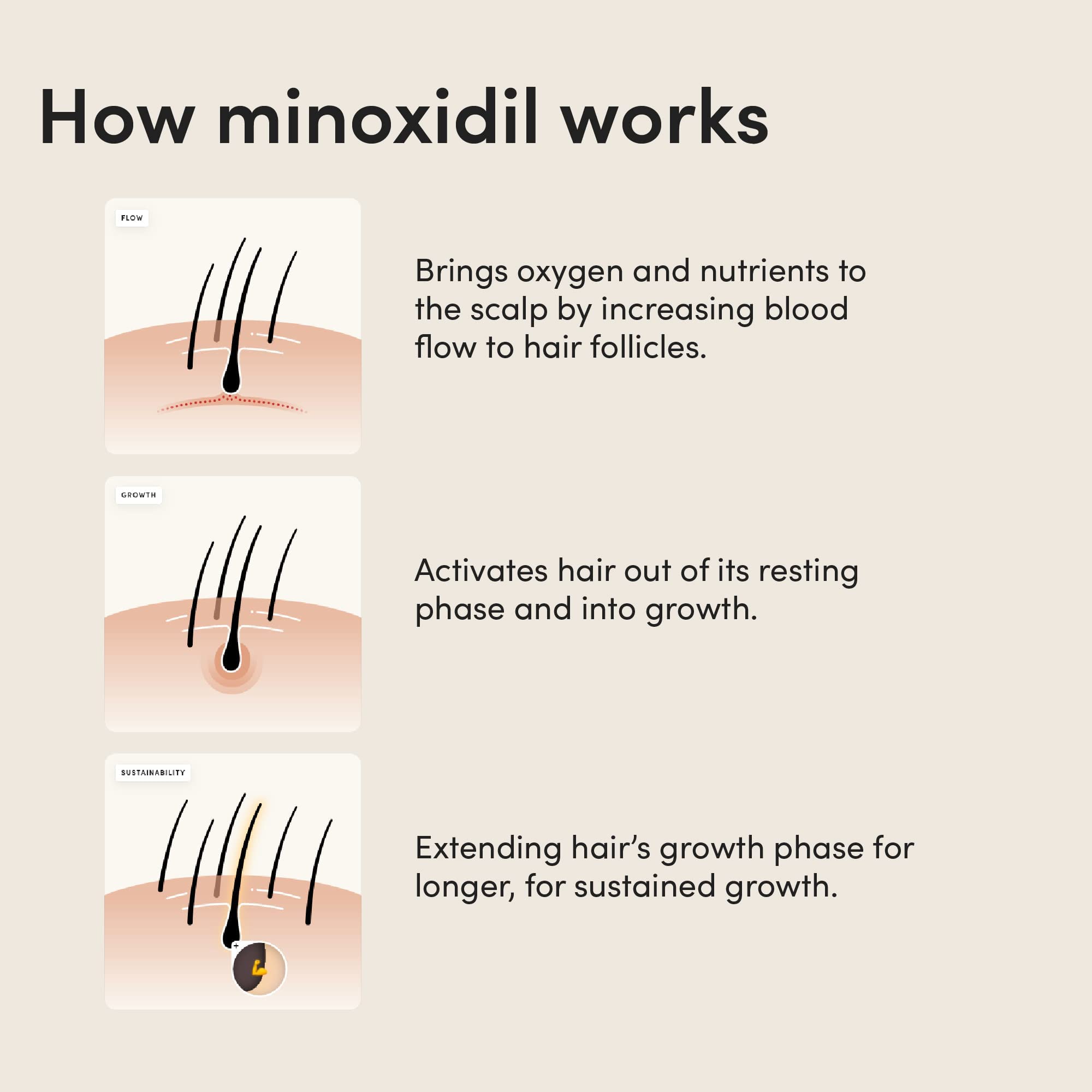 HIMS Regeneración: escena de peinado con cabello más grueso