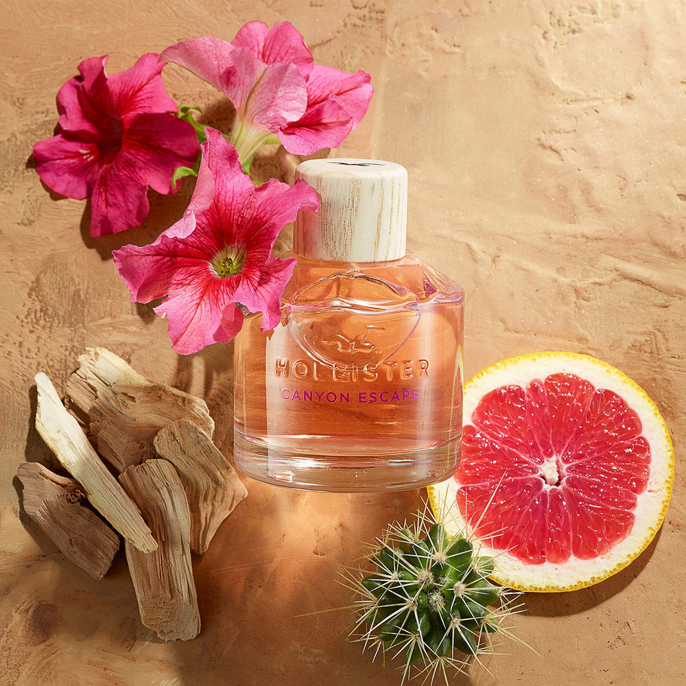 Notas florales y amaderadas de Hollister Canyon Escape, ideal para el día a día