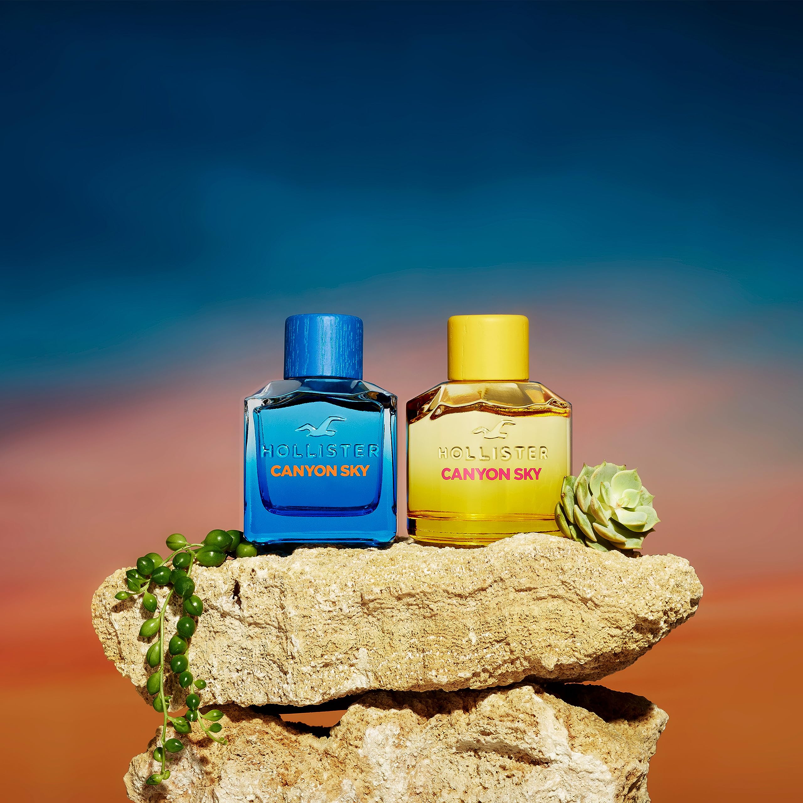 Canyon Sky de Hollister, ambientacion de uso diario para viajes y salidas casuales.