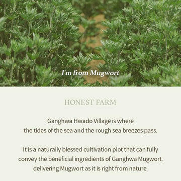 I'm from Mugwort Gel Limpador, ingredientes herbales de artemisa para cuidado diario