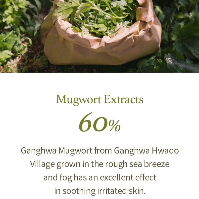 I'm from Mugwort Gel Limpador, textura gel suave para rostro