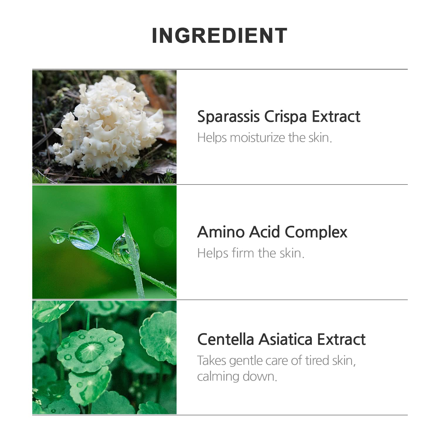 INCELLDERM Centella Asiática en la fórmula para hidratación y calma.