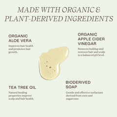 Ingreendients champú natural, ingredientes orgánicos destacados para tu rutina