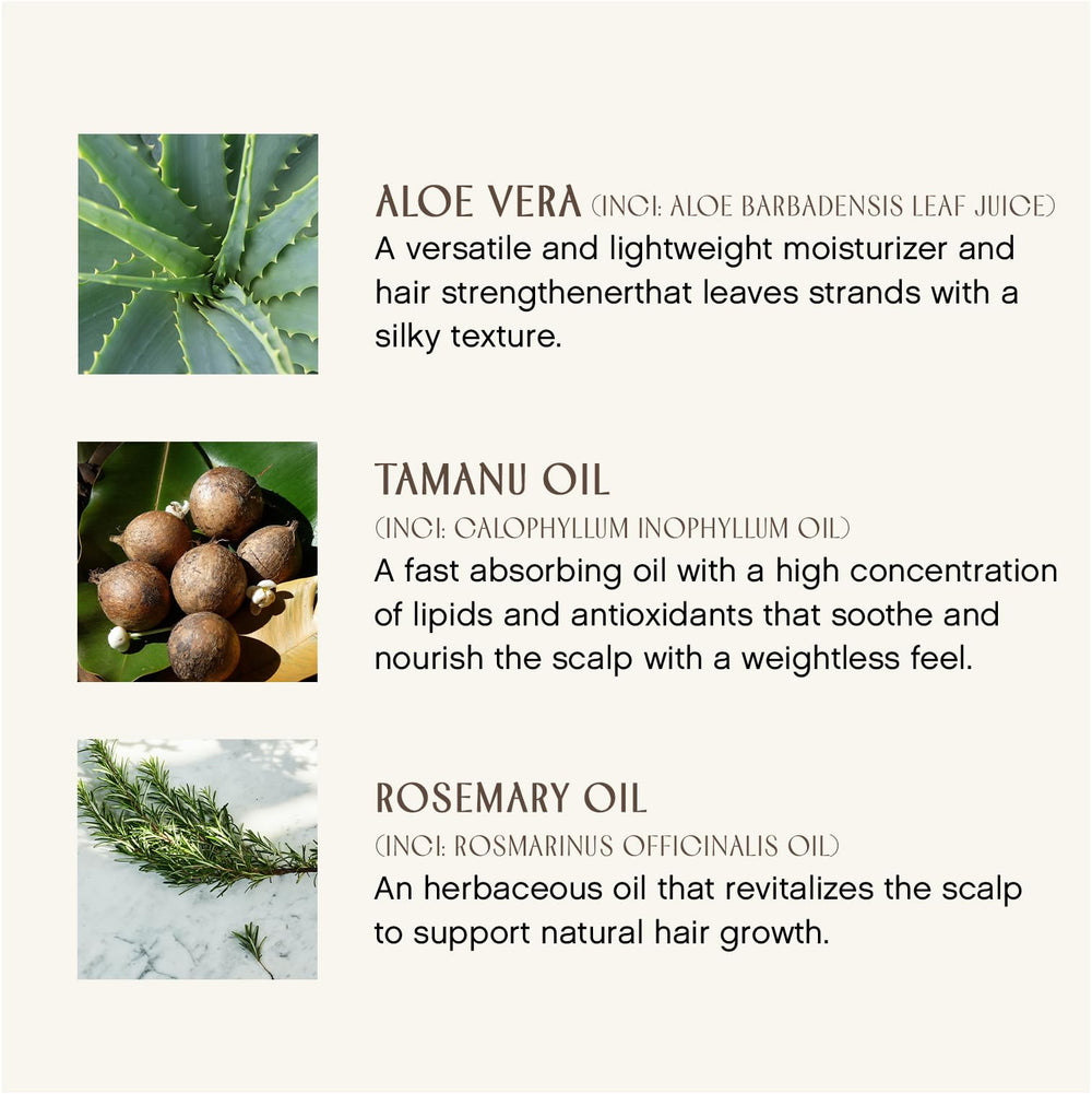 INNERSENSE Sweet Spirit Leave-In application – detangled and smooth with hydration