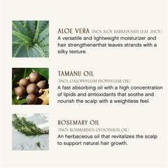 INNERSENSE Sweet Spirit Leave-In application – detangled and smooth with hydration