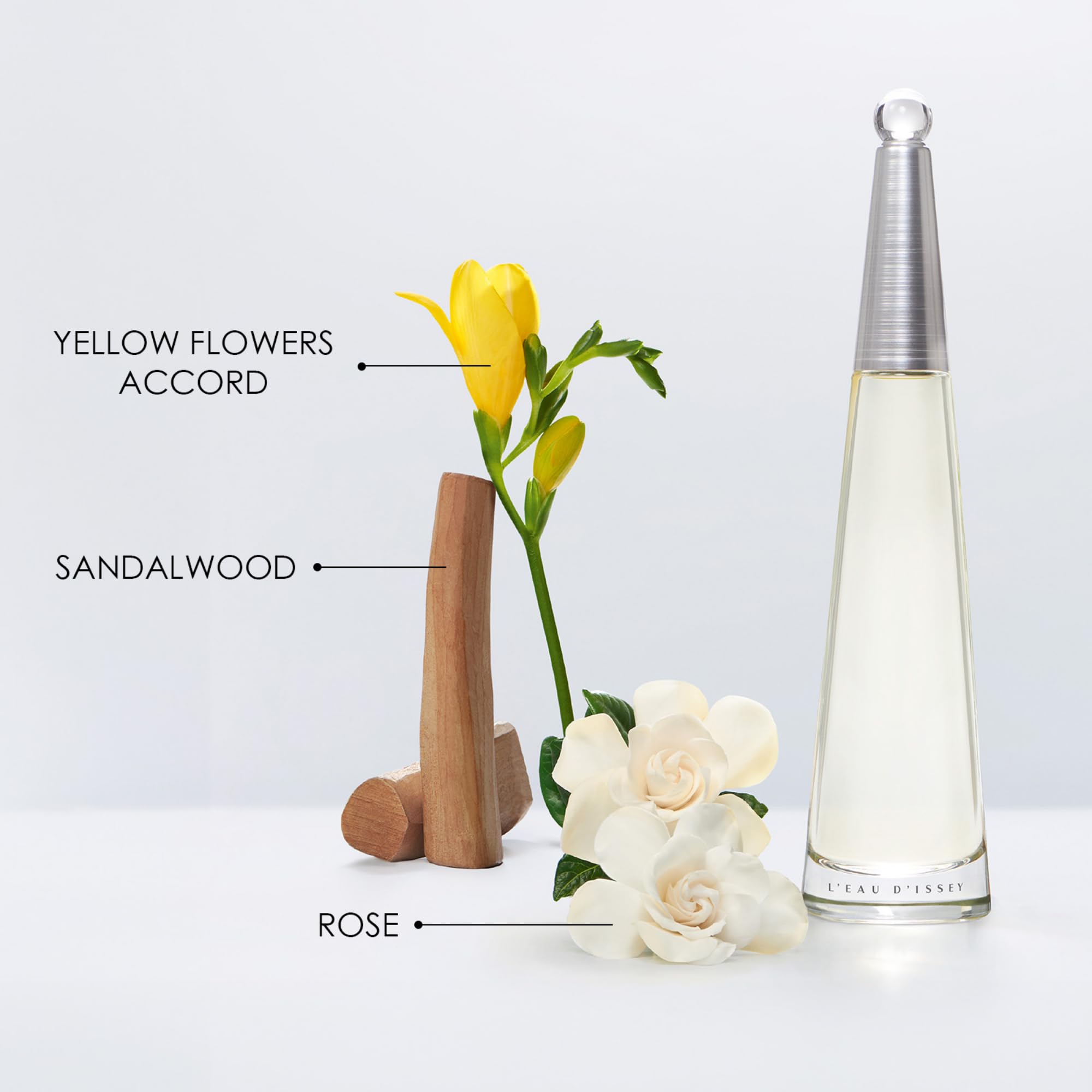 Issey Miyake L'Eau d'Issey: tapa metálica, toque elegante y sofisticado.