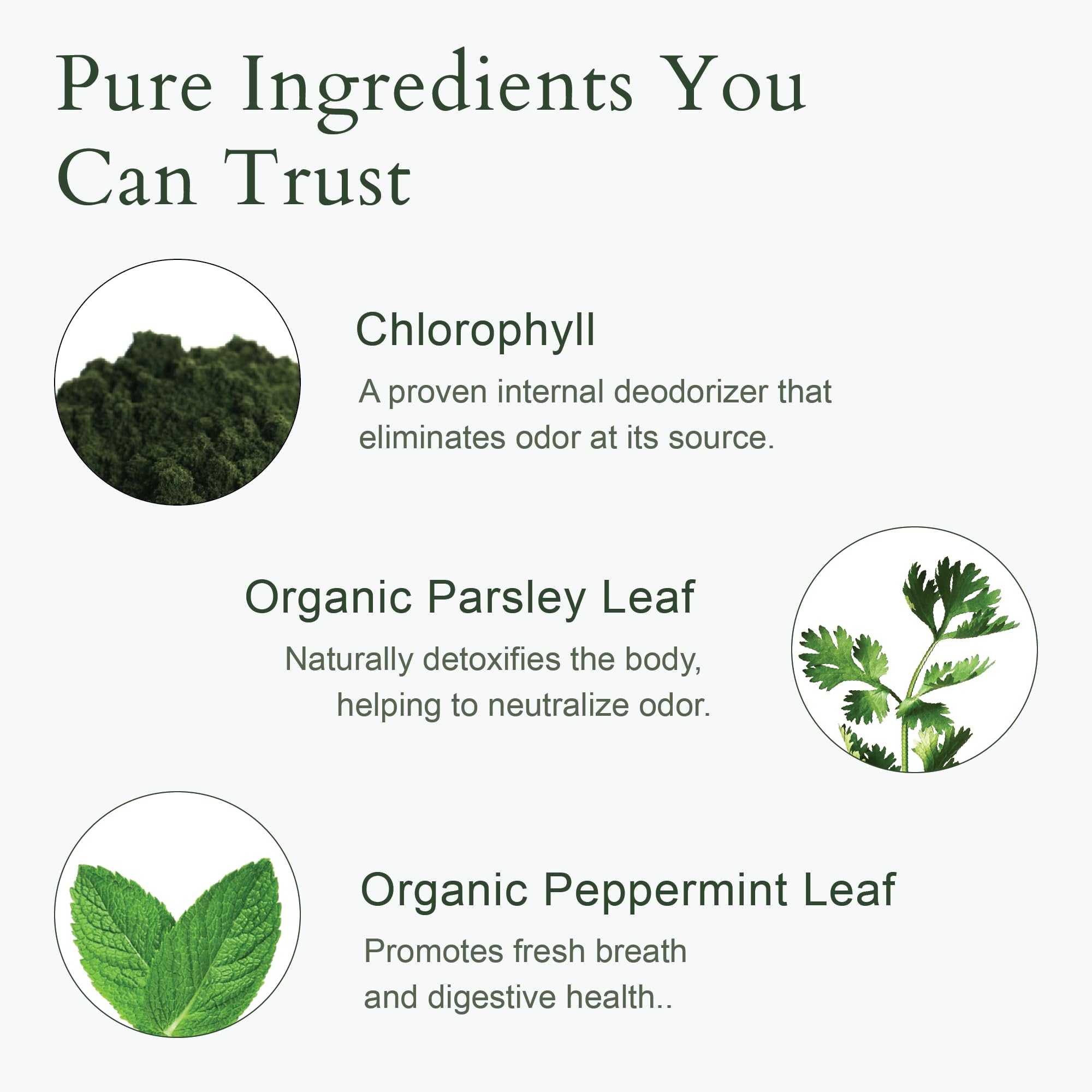 It Just Works clorofilina de cobre, componente detoxificante natural y suave.