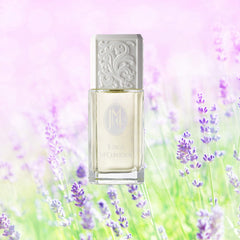 Notas frutales y florales en Jessica McClintock, aroma ligero para el día.
