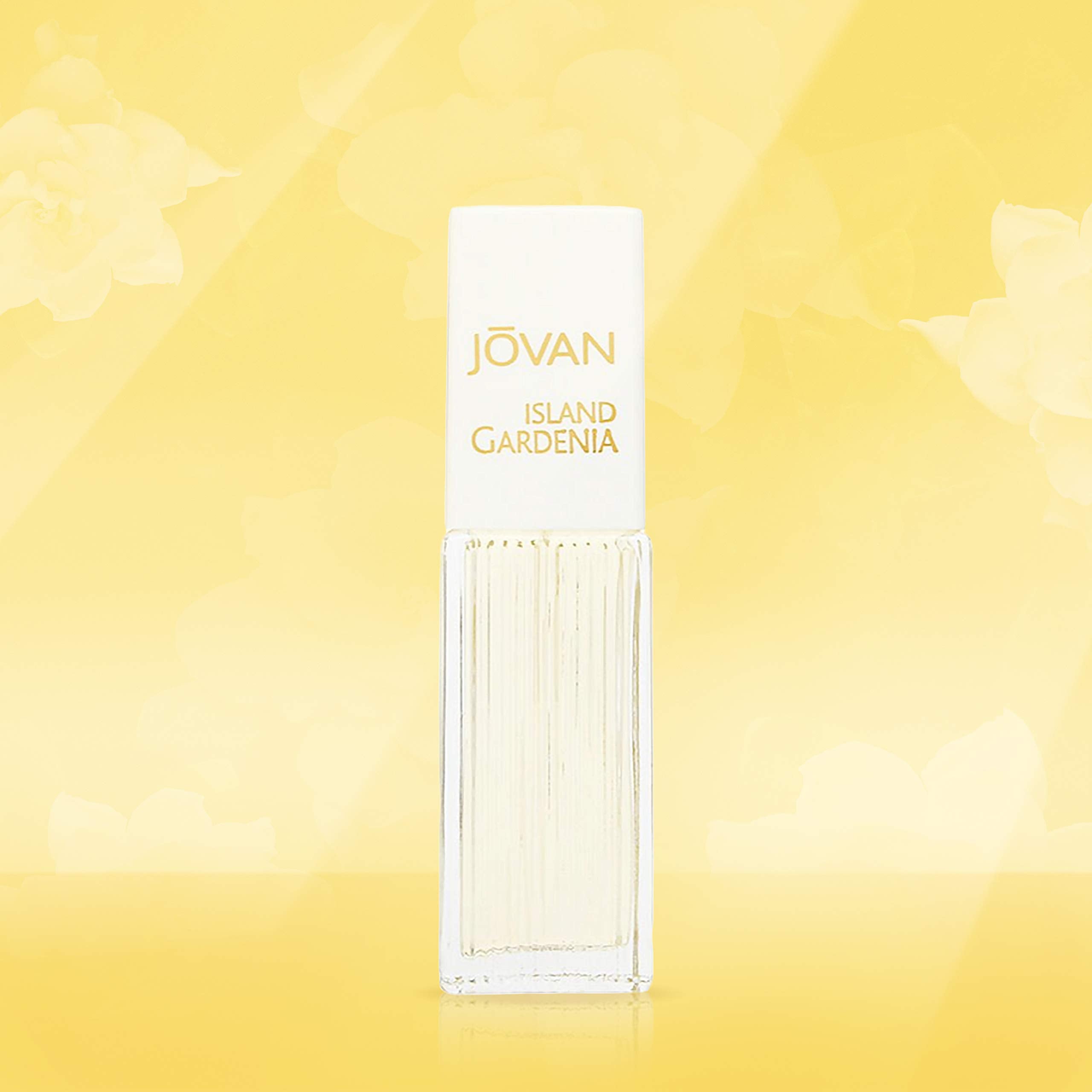 Jovan Island Gardenia: nota de gardenia aporta floralidad suave.