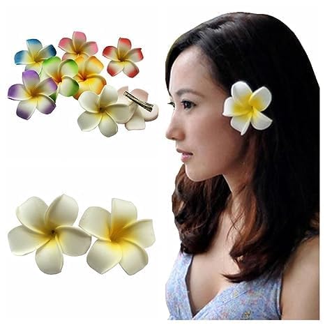 Juroicessry set de 4 clips de flores plumeria para compartir.
