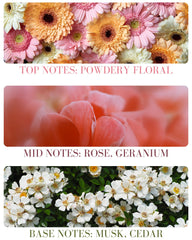 Kailuna Co. bruma con notas florales para uso diario.