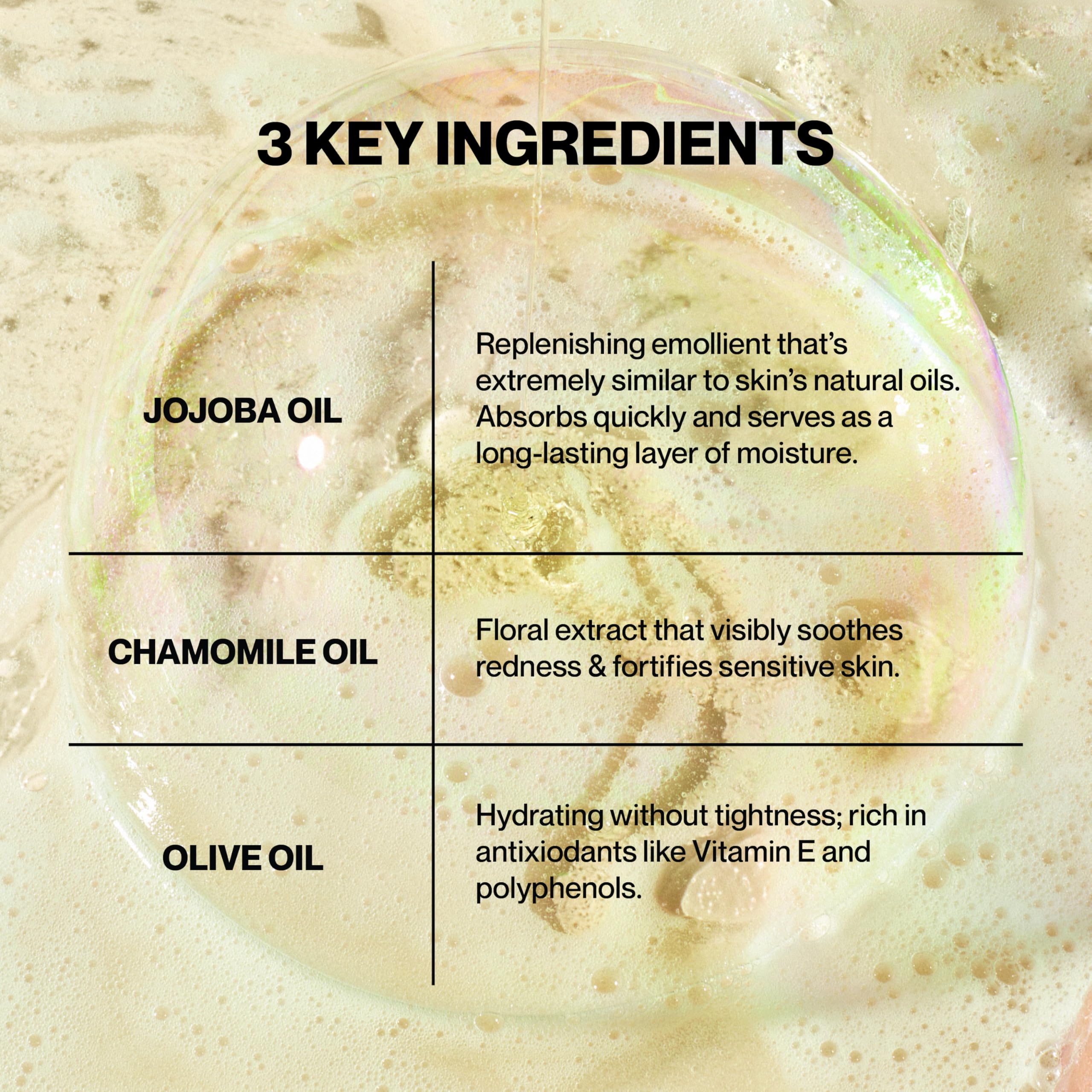 Knours ingredientes-oliva-vitamina-e: nutriente antioxidante para la piel