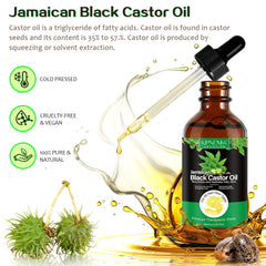 Aplicación de aceite de ricino en cabello para mejor textura y elasticidad