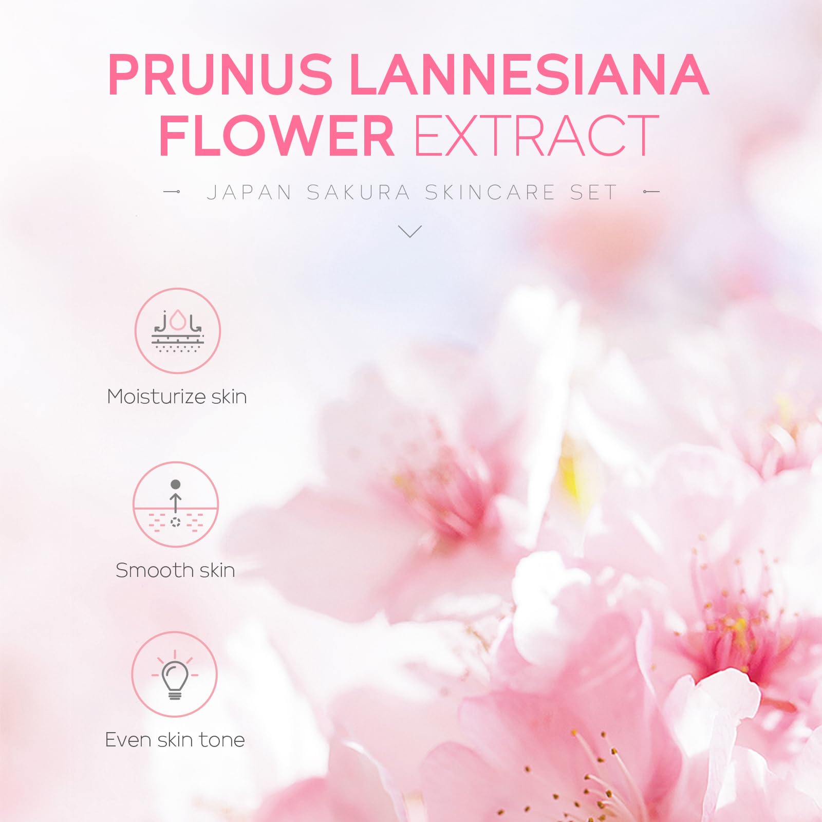LAIKOU Sakura tónico facial: equilibrio y preparación para hidratación