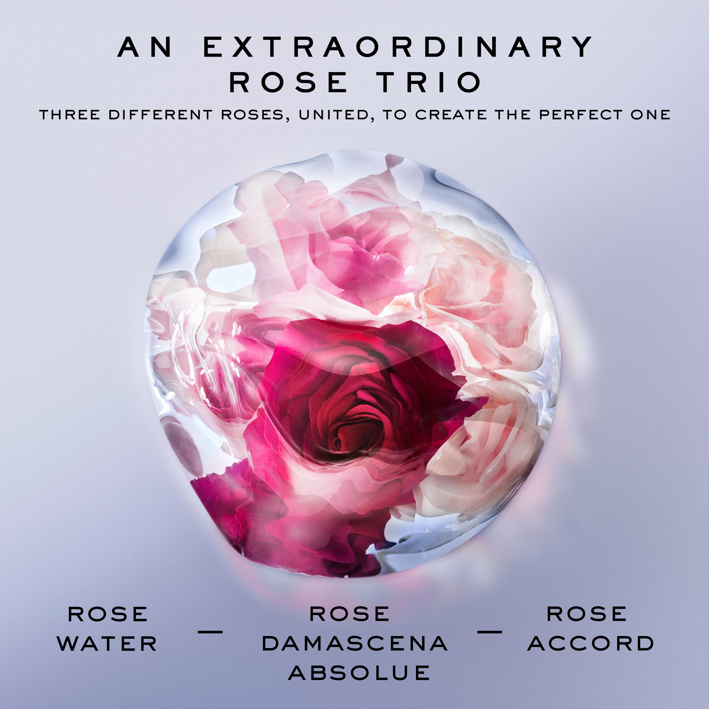 Rosa damascena aporta profundidad a Lancôme La Vie Est Belle Rose Extraordinaire.