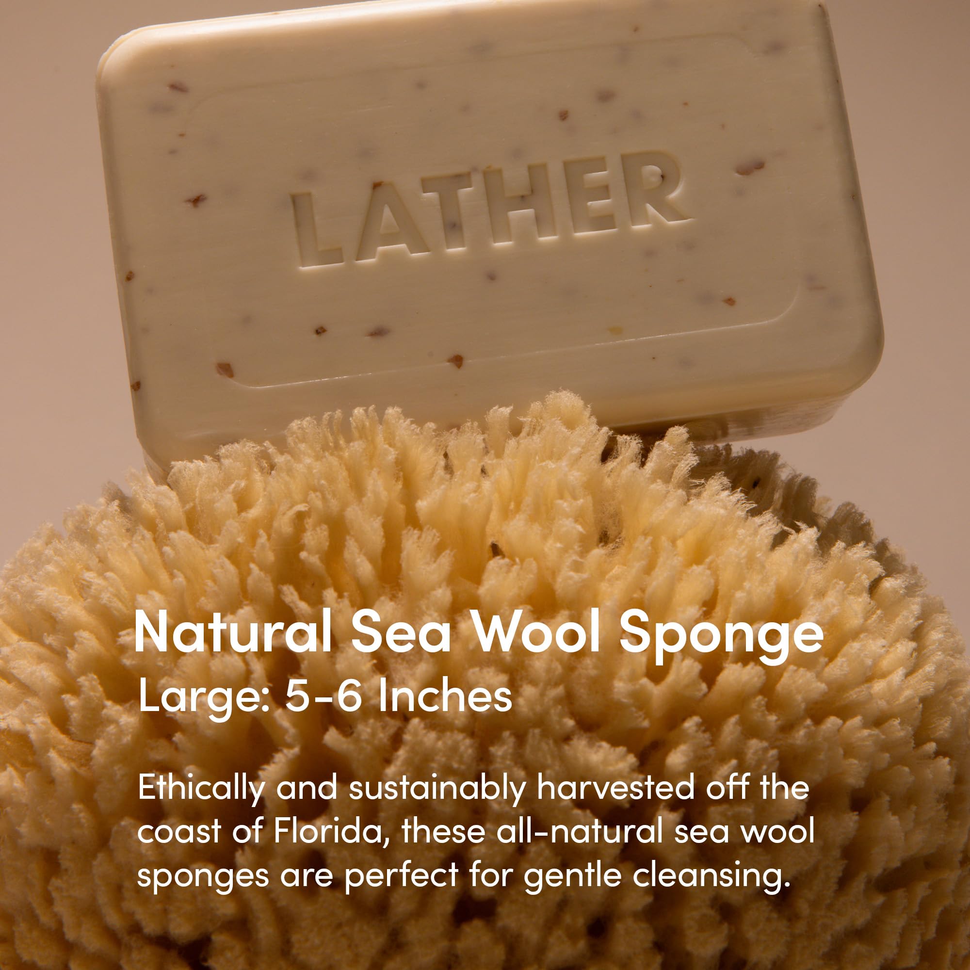 Esponja corporal LATHER, exfoliante suave, genera espuma cremosa para limpieza diaria