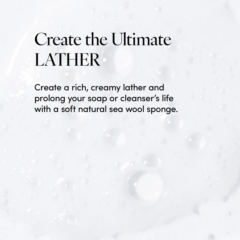 Esponja marina natural de LATHER, textura suave y duradera para ducha diaria.