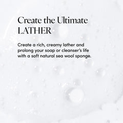 Esponja marina natural de LATHER, textura suave y duradera para ducha diaria.