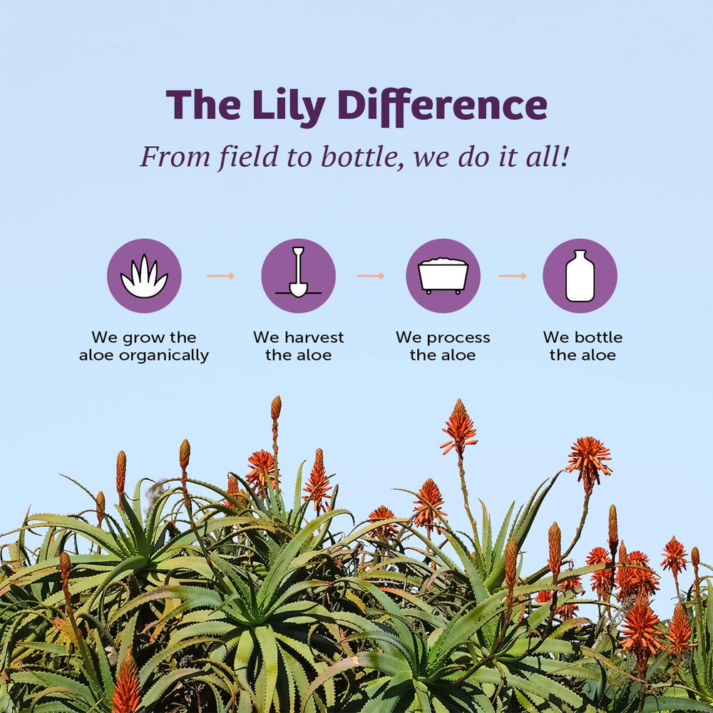 Envase de Lily Of The Desert Gelly Moisturizer, práctico y fácil de manejar.