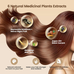 Limer champú-tinte castaño oscuro, cobertura natural de canas.