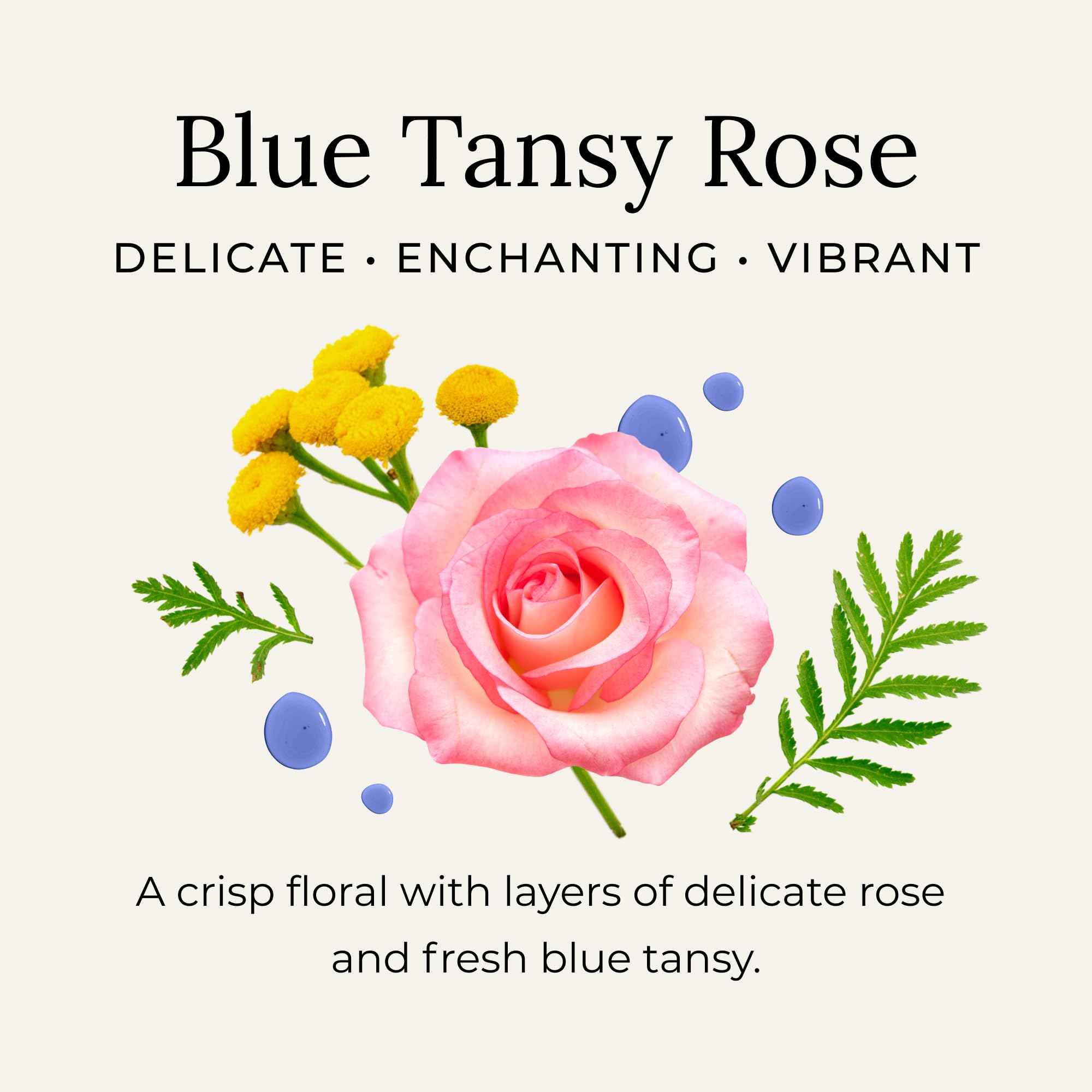 Aplicador de madera incluido de Little Seed Farm Desodorante Crema Blue Tansy Rose.