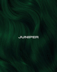 Lunartides échantillon teinte capillaire Juniper — aperçu rapide de la couleur sur cheveux.