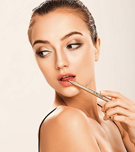 L.Y.L Pro Gold dos en uno uso versátil para labios y detalles
