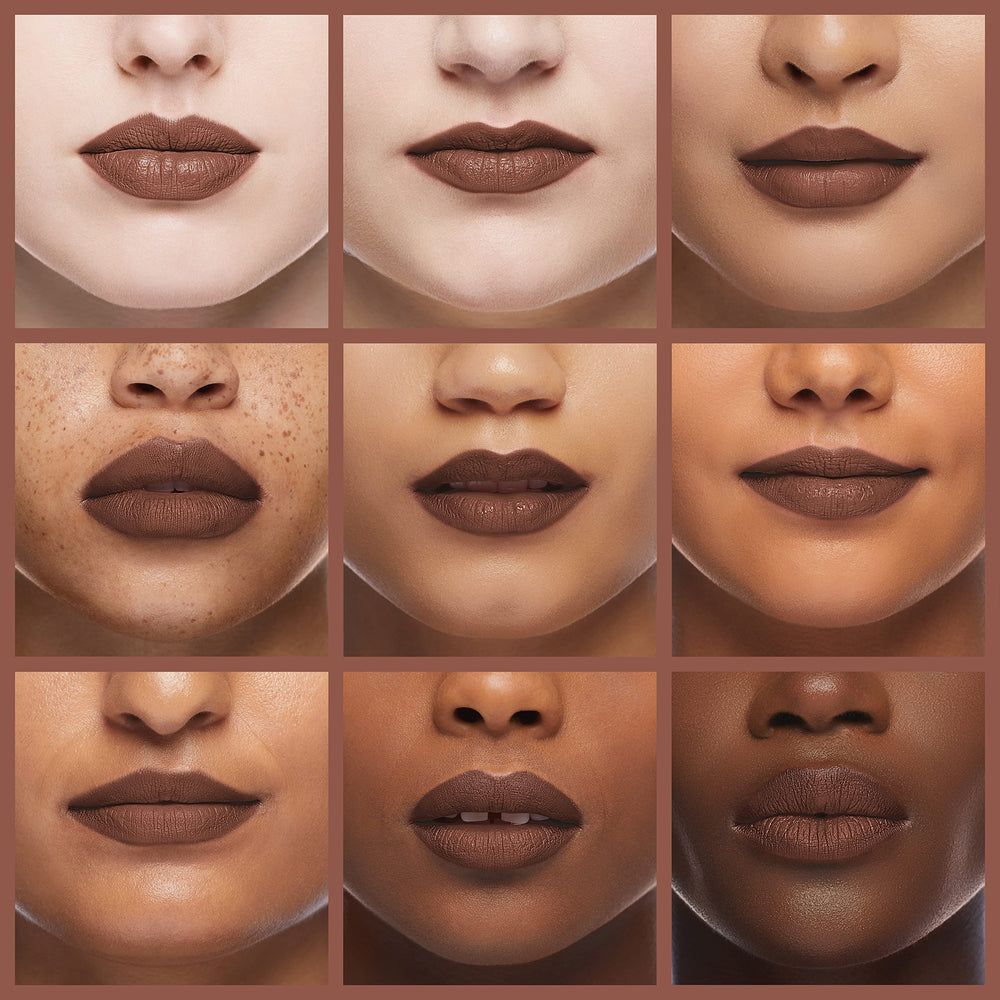 MAC Chestnut define labios con acabado limpio y duradero