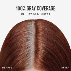 Madison Reed Root Perfection cobertura de gris al 100% sin amoniaco