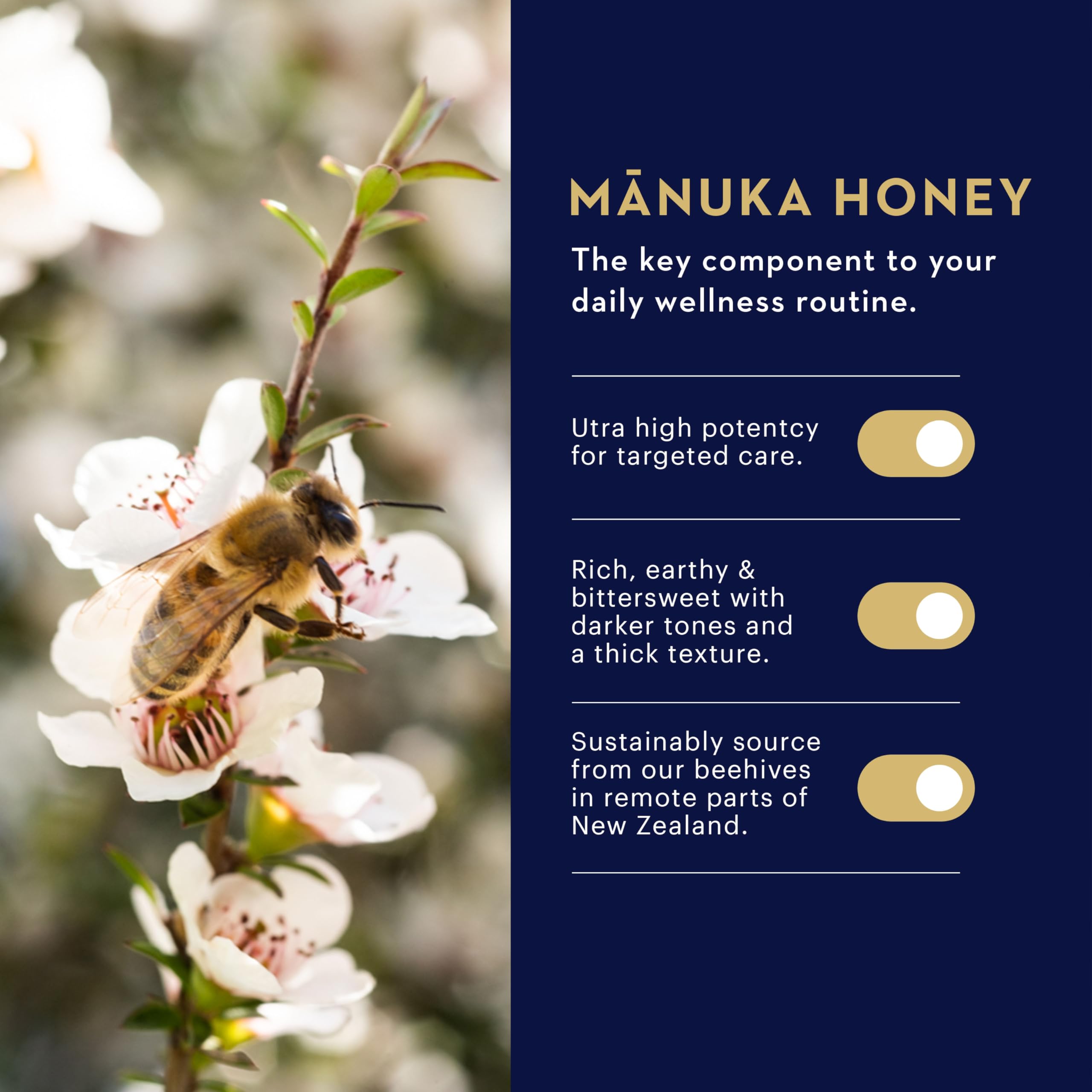 Manuka Health Rescate Labial, fórmula MGO 250+, nutre labios