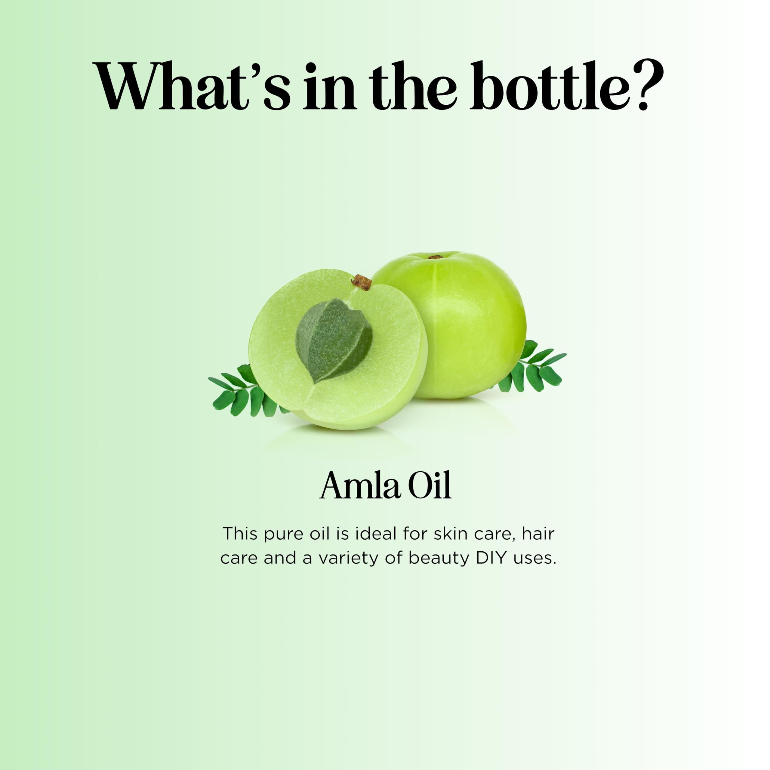 Formato orgánico del aceite Amla de Maple Holistics para cuidado diario.