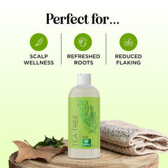 Maple Holistics Champú Clarificante con árbol de té, botella en primer plano