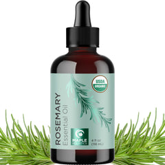 Huile de romarin Maple Holistics en flacon, idéale pour nourrir cheveux et cuir chevelu.