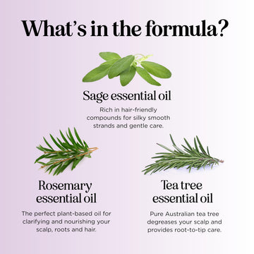 Maple Holistics Sage Rosemary Shampoo for oily hair shows a clarifying effect.
