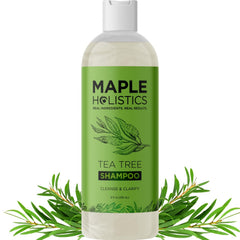 Maple Holistics champú clarificante árbol de té para cabello graso, limpieza profunda del cuero cabelludo