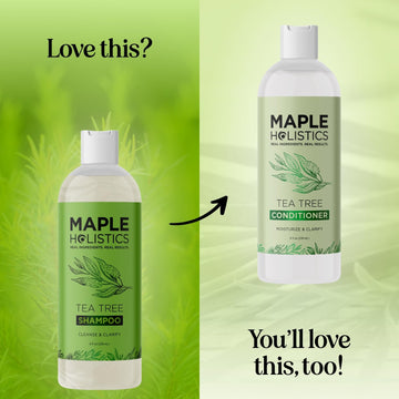 Maple Holistics champú de limpieza profunda para cabello con acumulación