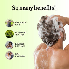 Maple Holistics champú para caspa con árbol de té y limpieza suave