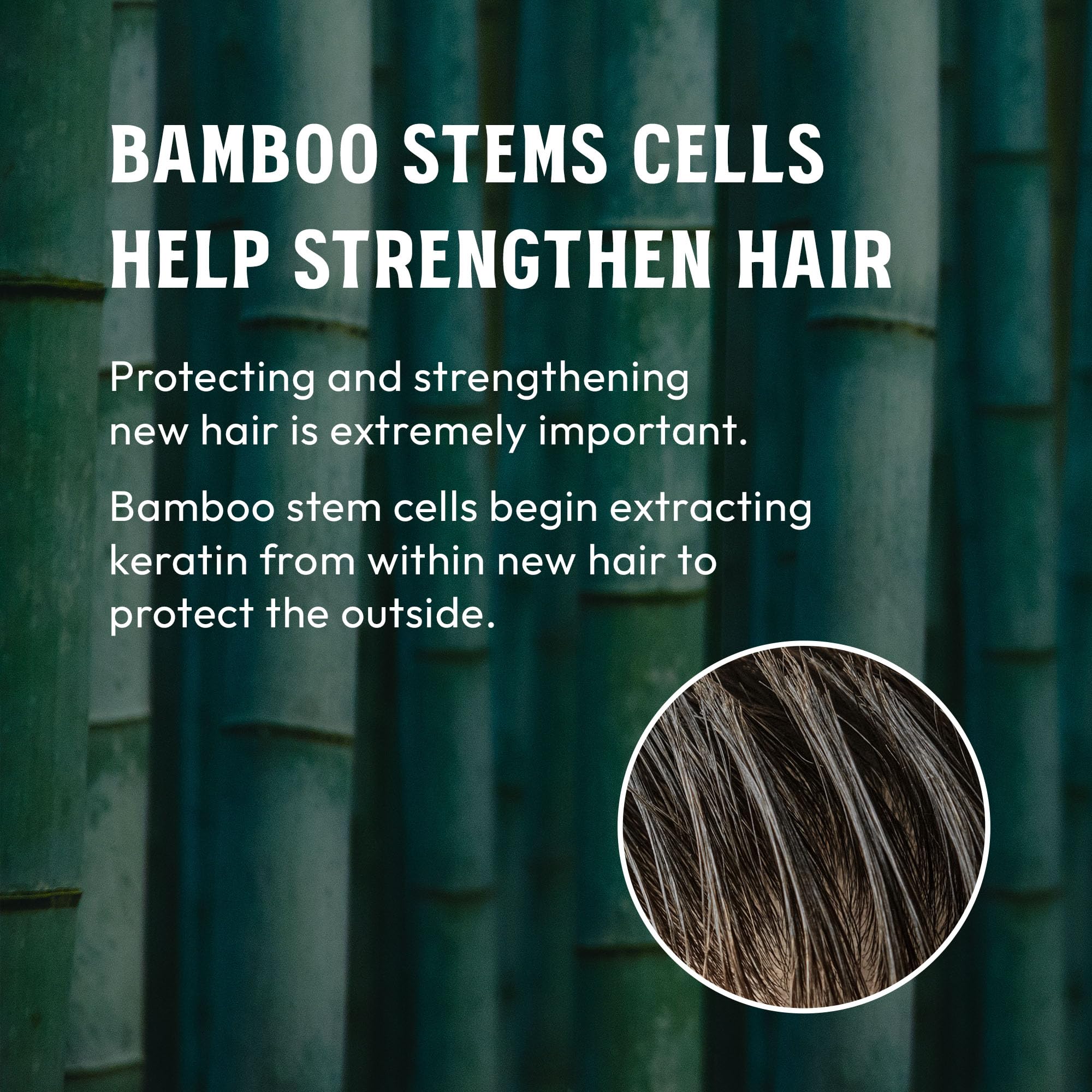 MARO17 Black+ Shampoo – brillance et douceur des cheveux, usage quotidien