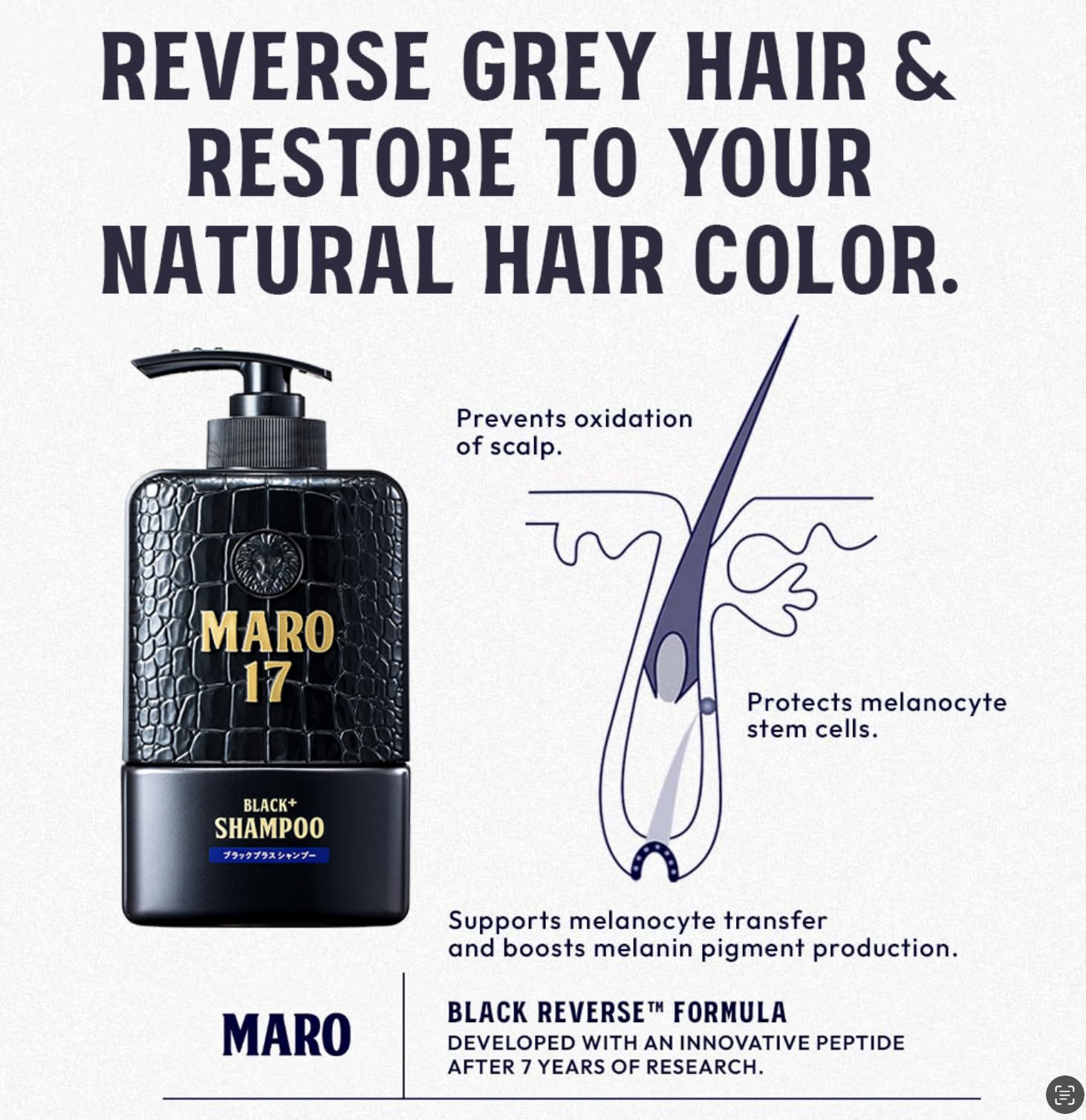 MARO17 Black+ Shampoo – démonstration de massage du cuir chevelu, rituel relaxant