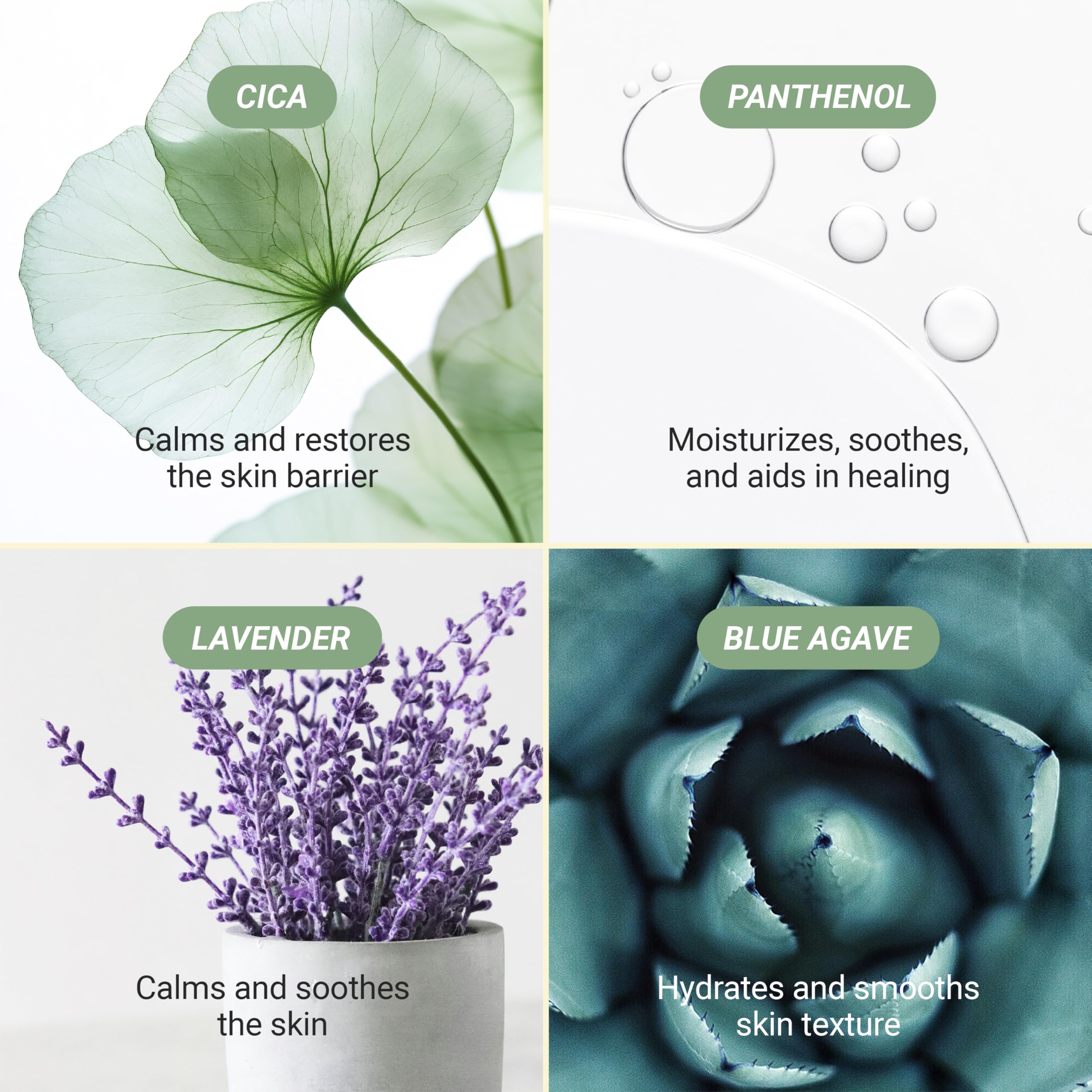Meebak Cica: calma con Centella y Lavanda para piel sensible.