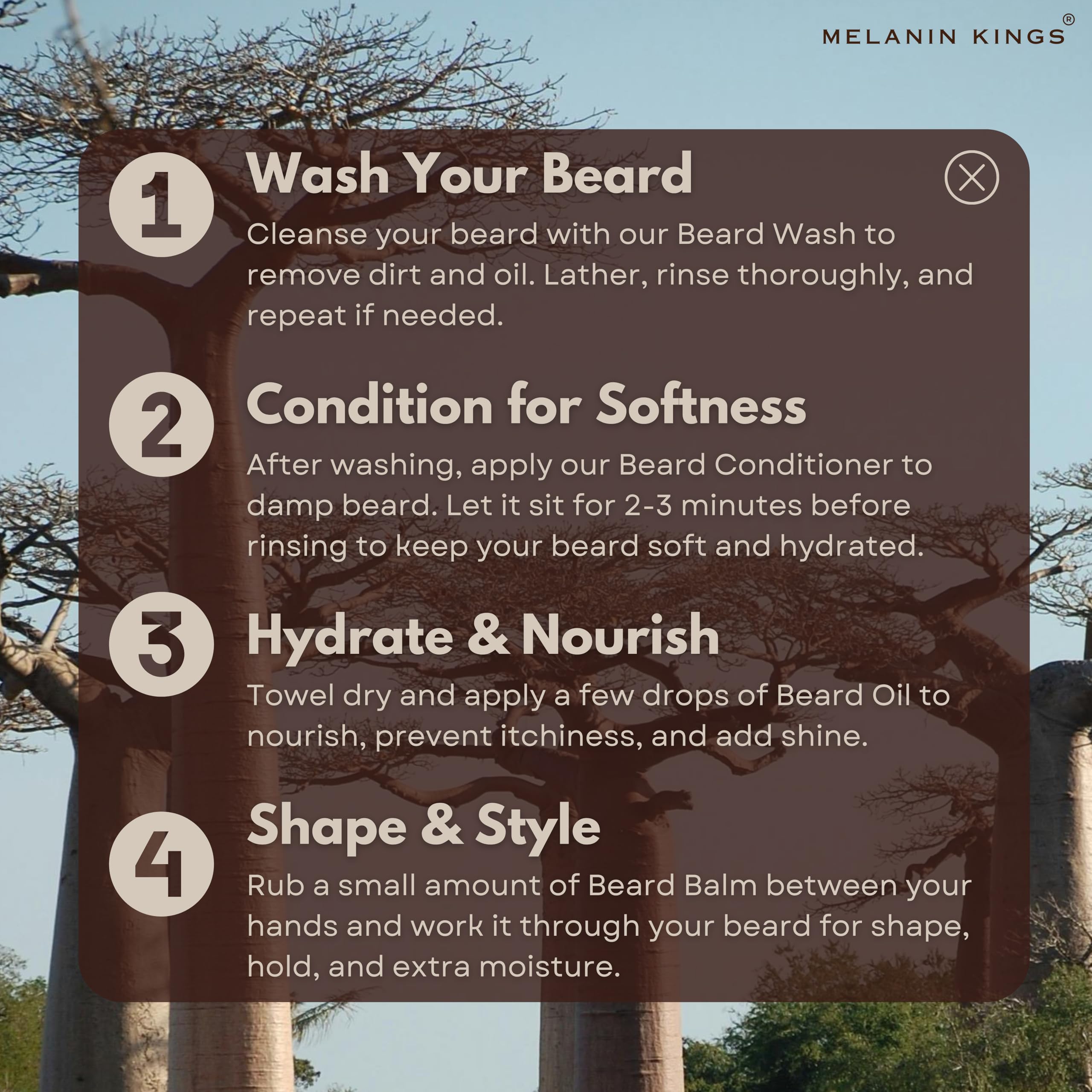 Melanin Kings Rendimiento con ingredientes africanos, cuidado diario de la barba.