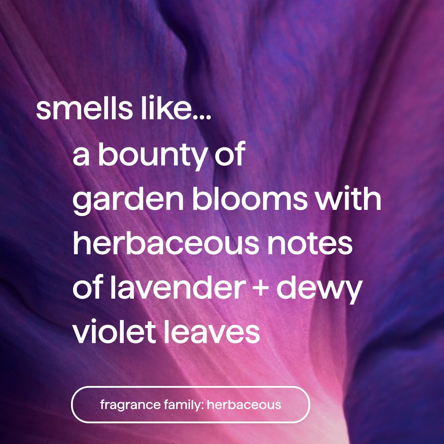 Fragancia fresca de violeta y lavanda para cada lavado.
