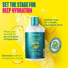 Mielle Organics Champú Kalahari Melon & Aloe vertido en la mano para iniciar la espuma.
