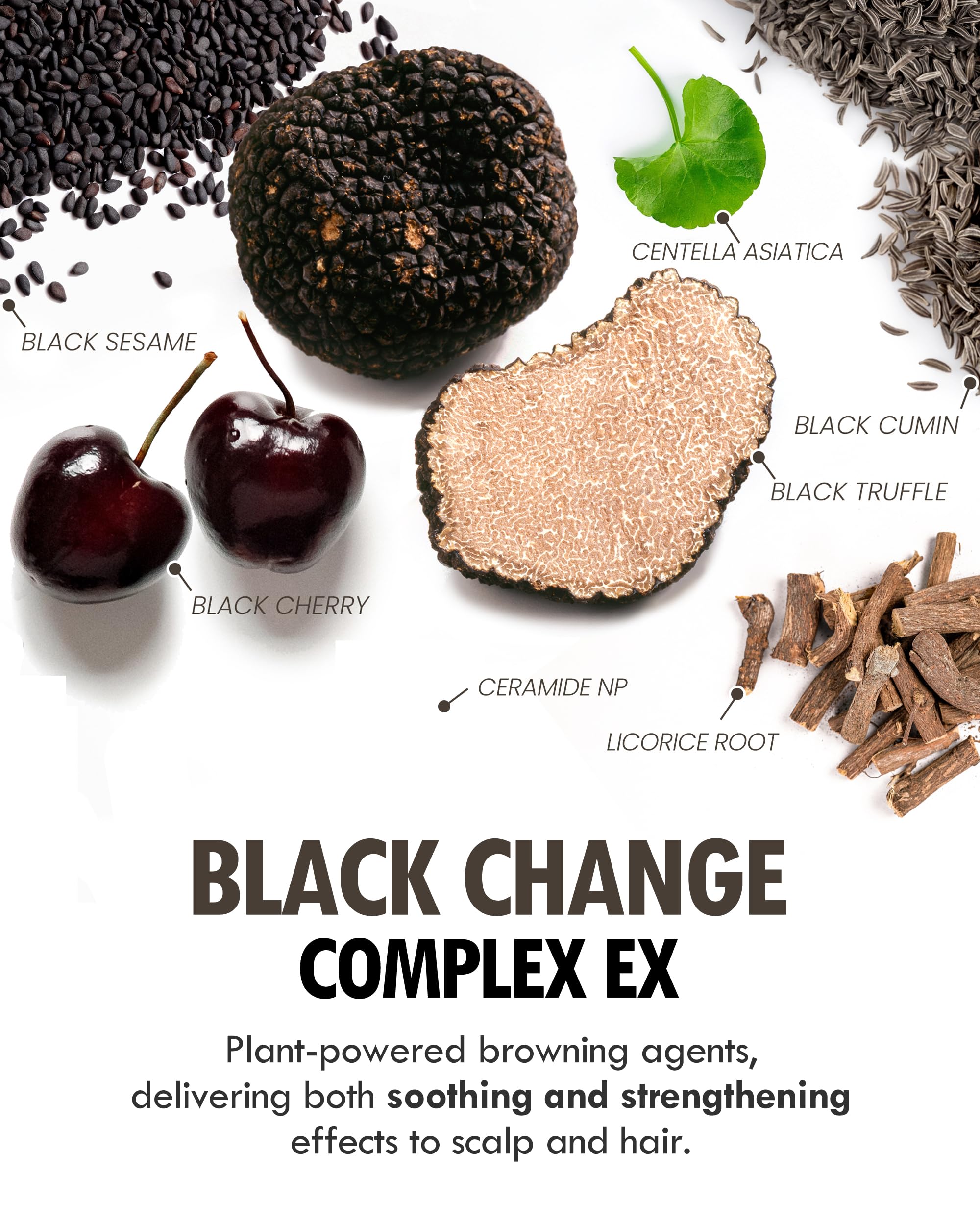 MODA MODA Zero Gray Black Shampoo nutrición capilar y menos frizz