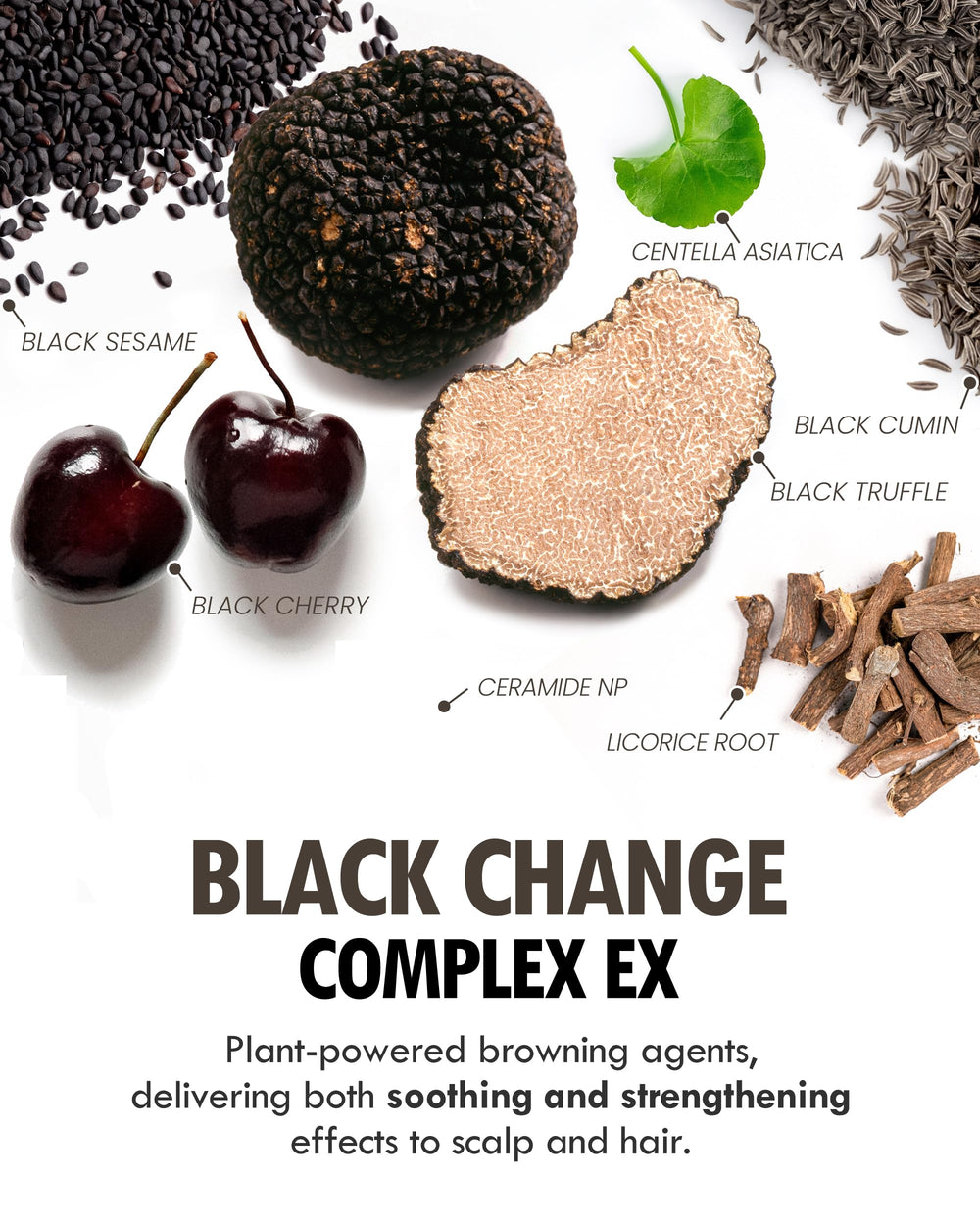 MODA MODA Zero Gray Black Shampoo nutrición capilar y menos frizz
