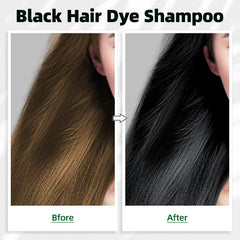 MOISTAR champú canas aplicación 15 minutos, color negro rápido