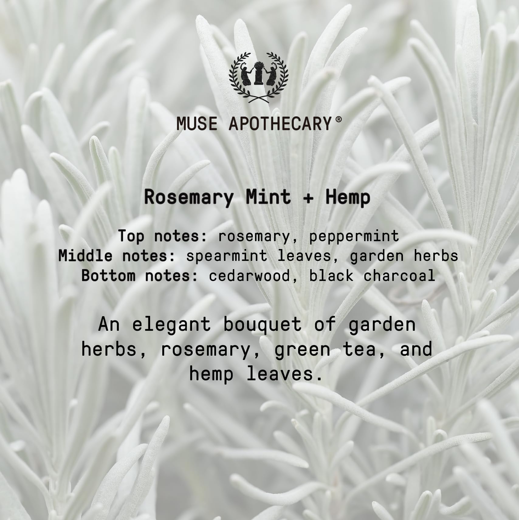Romero y menta, cáñamo para una experiencia sensorial con Muse Apothecary